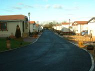 Willow Wood today 2008