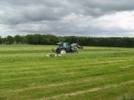 Haytime July 2010