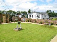 The Community Garden