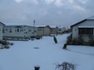 Winter Snow Feb 2009
