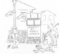 On the arrival of CCTV cameras